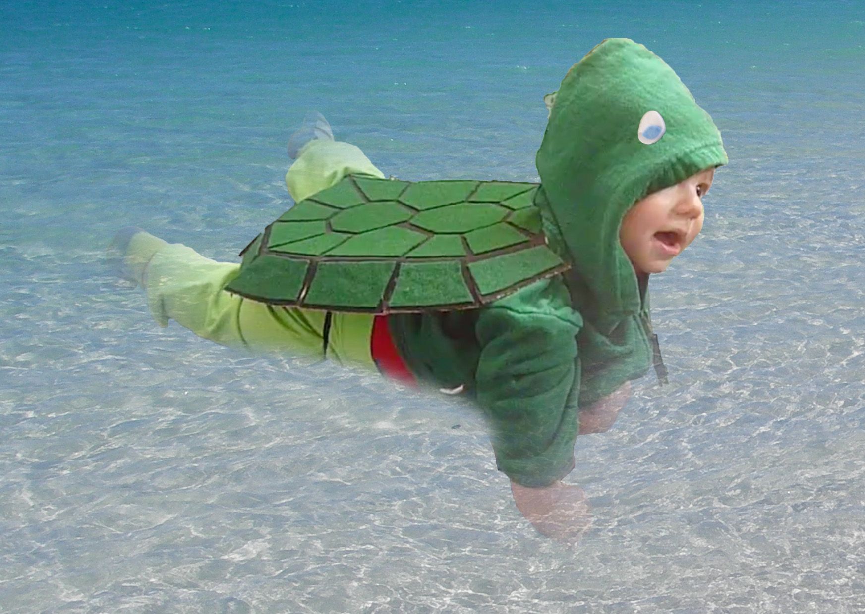 Tiny Turtles Dressed in Swimsuits Are Truly the Cutest Thing You