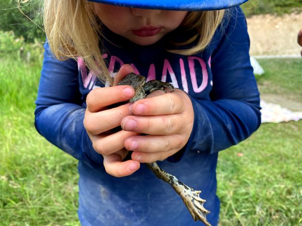 Catch and Release Field Biology for Children 🦋 🐸